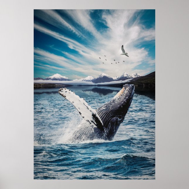 Ocean Whale Poster (Vorne)