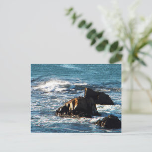 Oceano Beach mit Rocks California Postcard Postkarte