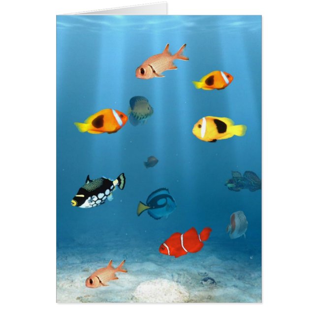 Océans Du Poisson (Devant)