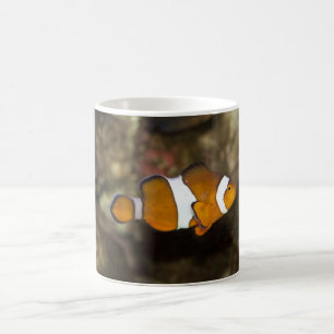 Ocellaris Clownfish Kaffeetasse