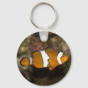 Ocellaris Clownfish Schlüsselanhänger