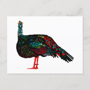 Ocelled Turkey Postkarte