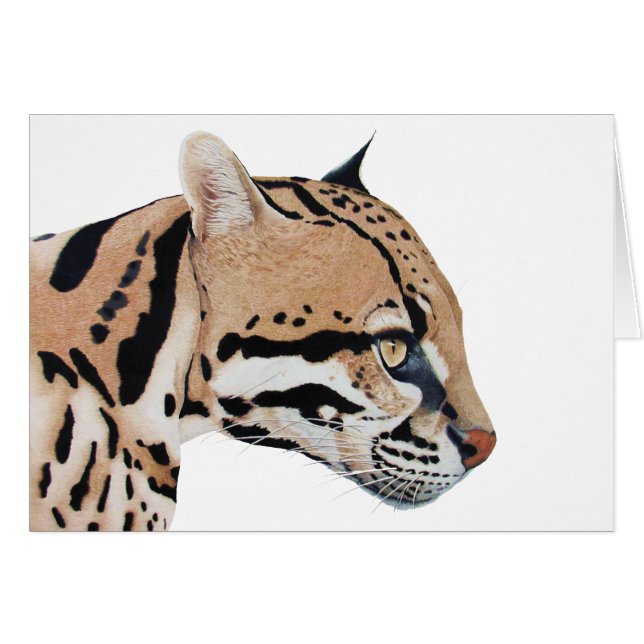 Ocelot (Vorderseite (Horizontal))