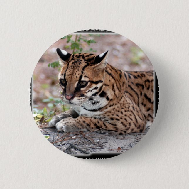 Ocelot 01 11x11 button (Vorderseite)