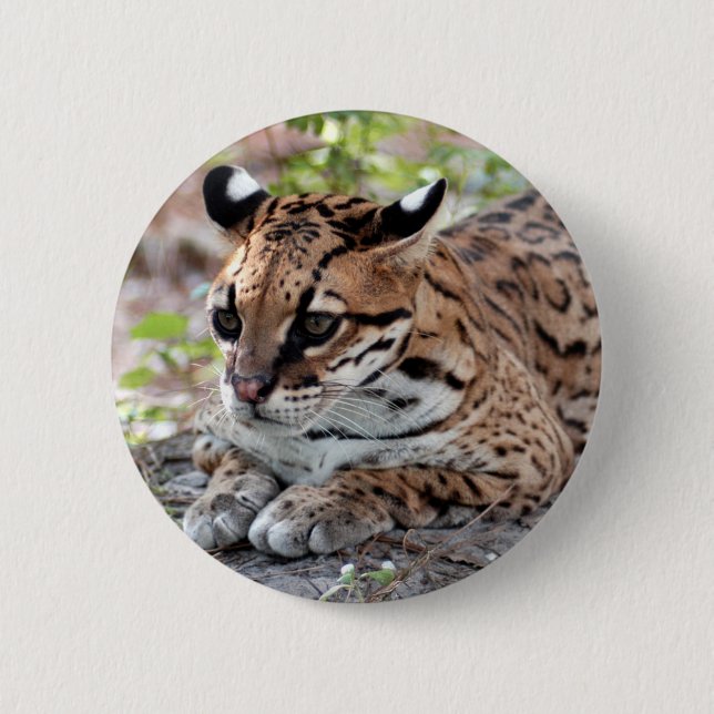 Ocelot 02 9x9 button (Vorderseite)