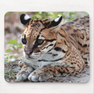 Ocelot 02 9x9 mousepad