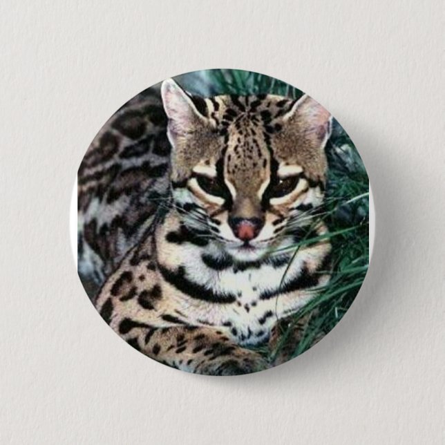 Ocelot Button (Vorderseite)