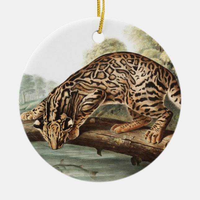 Ocelot, Leopard Cat (Felis pardalis) Illustration Keramik Ornament (Vorne)