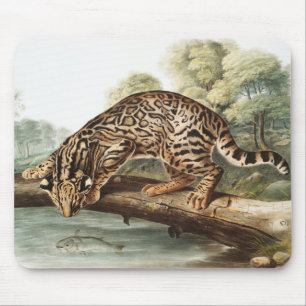 Ocelot, Leopard Cat (Felis pardalis) Illustration Mousepad