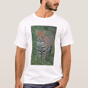 OCELOT Leopardus pardalis) ZENTRALAMERIKA T-Shirt