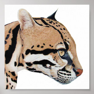 Ocelot Portrait Poster