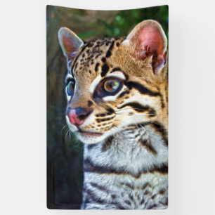 Ocelot - Wild Mini Jaguar Banner
