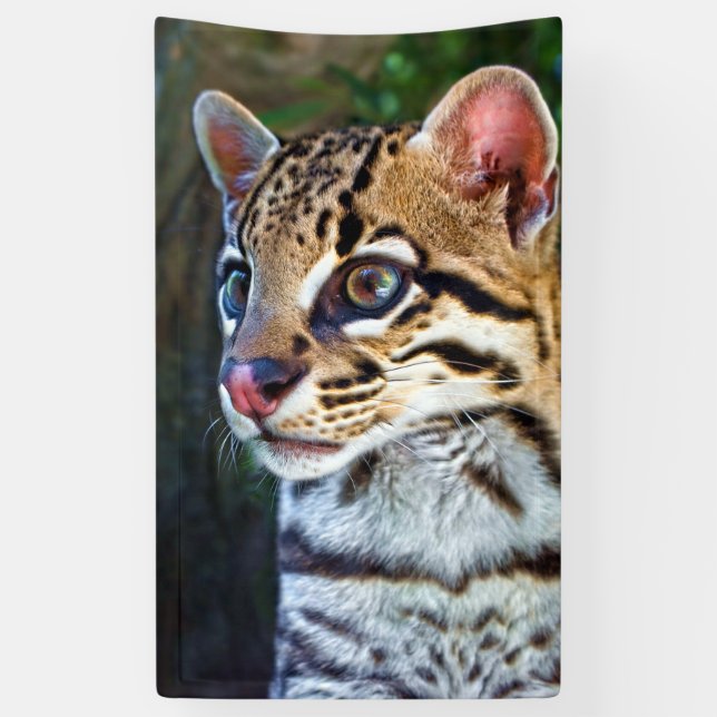 Ocelot - Wild Mini Jaguar Banner (Vertikal)
