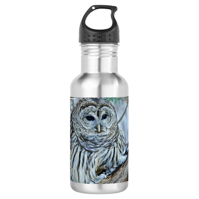 Ochse Edelstahlflasche (Vorderseite)