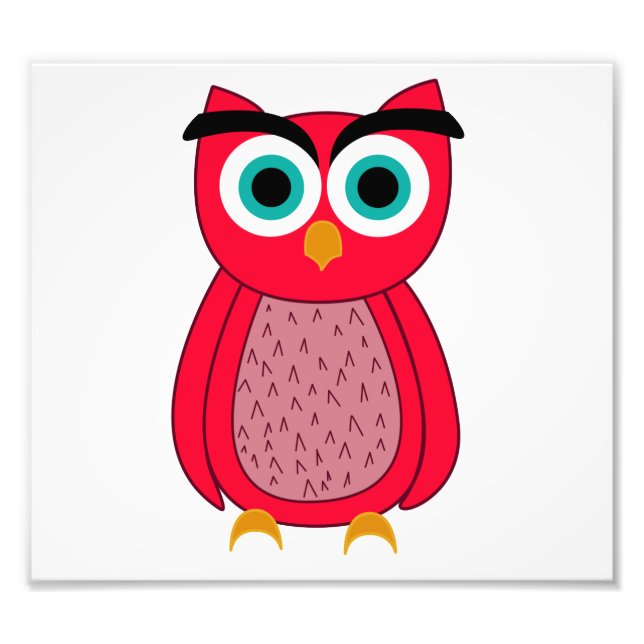 Ochse Fotodruck (Vorne)