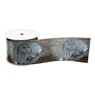 Ochse Satinband