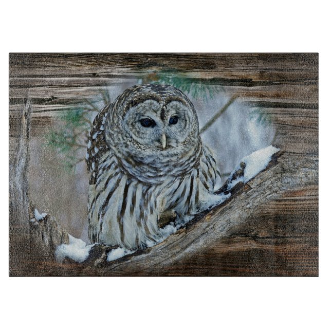 Ochse Schneidebrett (Vorderseite)