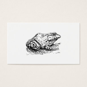 Ochsenfrosch