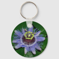 Ocoee flower Passiflora caerulea Passion flower
