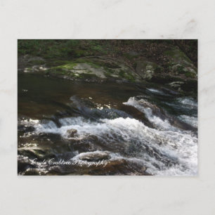 Ocoee River, Tennessee Postkarte