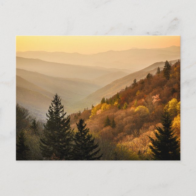Oconaluftee Valley Aussicht | North Carolina Postkarte (Vorderseite)