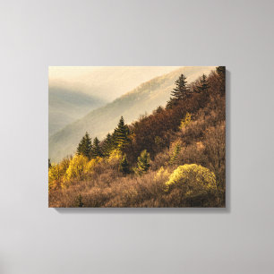 Oconaluftee Valley Aussichtspunkt North Carolina Leinwanddruck