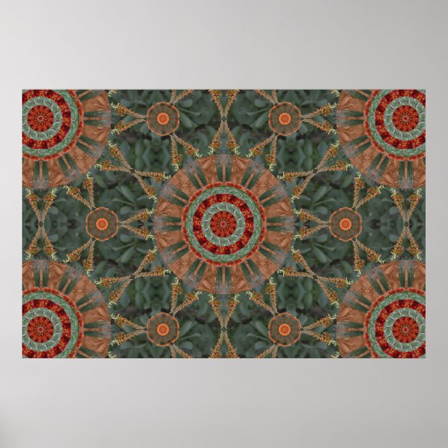 Ocotillo Array 1 Poster (Vorne)