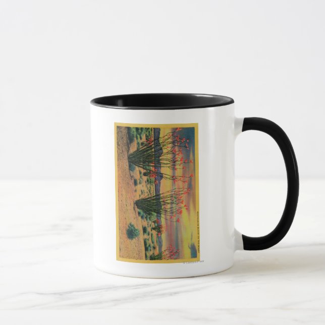 Ocotillo-Blume in Bloom, Wüste Kalifornien Tasse (Rechts)