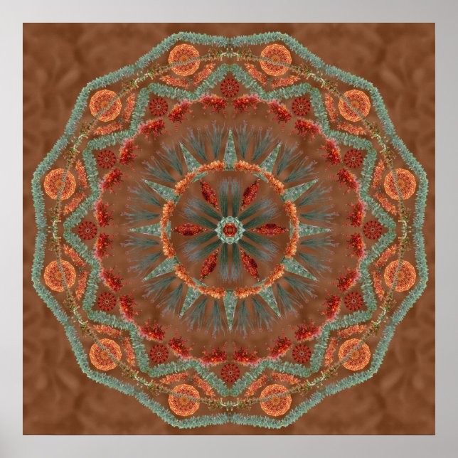 Ocotillo Mandala 1 Poster (Vorne)