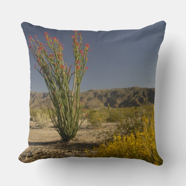 Ocotillo und Wüste Senna Kissen (Vorderseite)