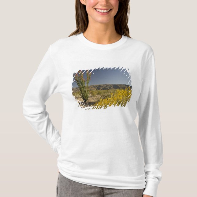 Ocotillo und Wüste Senna T-Shirt (Vorderseite)