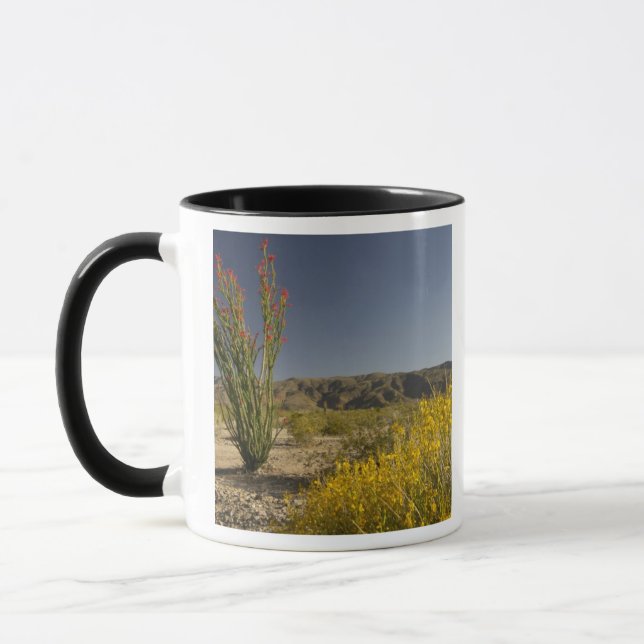 Ocotillo und Wüste Senna Tasse (Links)
