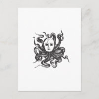 Octo Baby