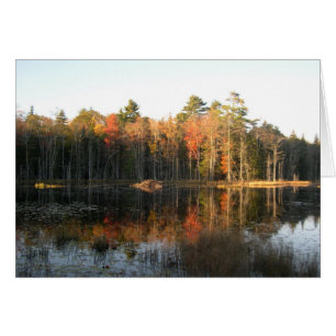 Octobre au New Hampshire