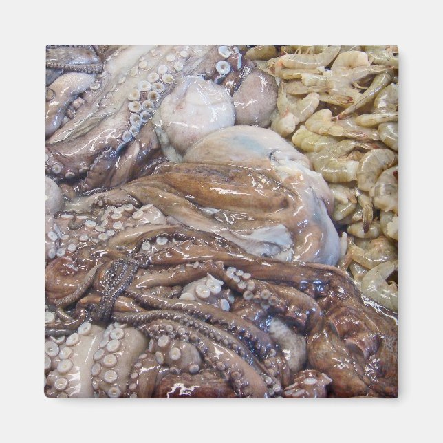 Octopi Magnet (Vorne)