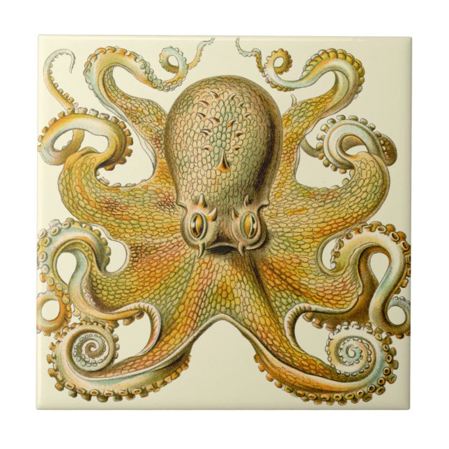 Octopus antike Illustration Seeungeheuer Fliese (Vorderseite)