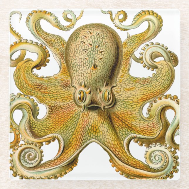 Octopus antike Illustration Seeungeheuer Glasuntersetzer (Vorderseite)