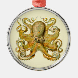 Octopus antike Illustration Seeungeheuer Ornament Aus Metall