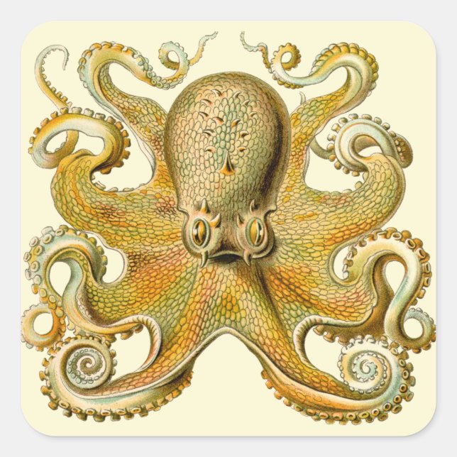 Octopus antike Illustration Seeungeheuer Quadratischer Aufkleber (Vorderseite)