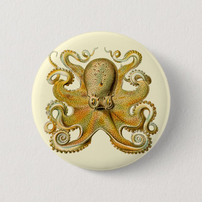 Octopus antique illustration sea monster button (Vorderseite)