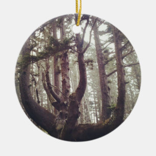 Octopus-Baum, Cape Meares, Oregon Keramik Ornament