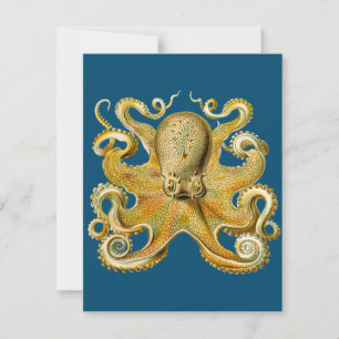Octopus - Ernst Haeckel's Karte
