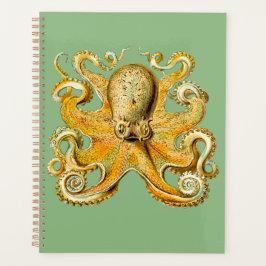 Octopus Gold und Blue Spiral Planner Planer