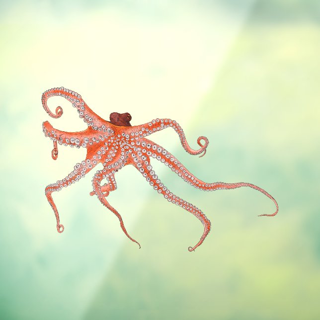Octopus Hugs Fensteraufkleber (Blatt 3)