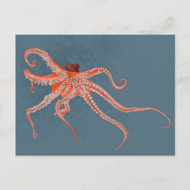 Octopus Hugs Postkarte (Vorderseite)