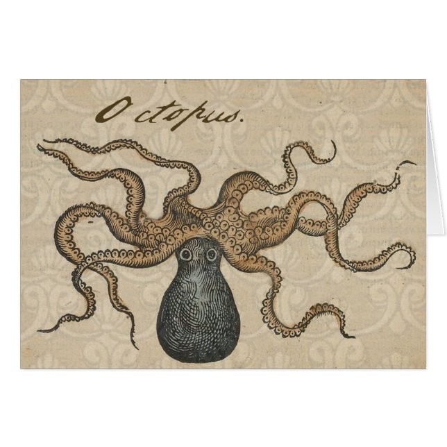Octopus Kraken Illustration Vintage (Devant horizontal)