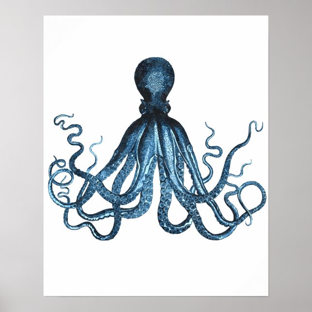 Octopus kraken Meeres-Strand nautische Küste Poster (Vorne)