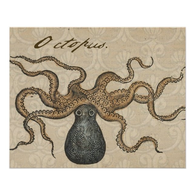 Octopus Kraken Vintag Illustration Poster (Vorderseite)