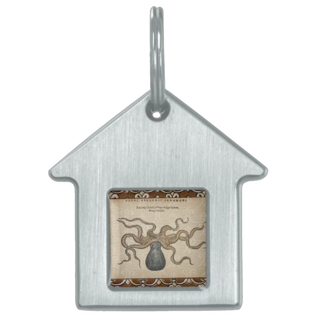 Octopus Kraken Vintag Illustration Tiermarke (Vorderseite)