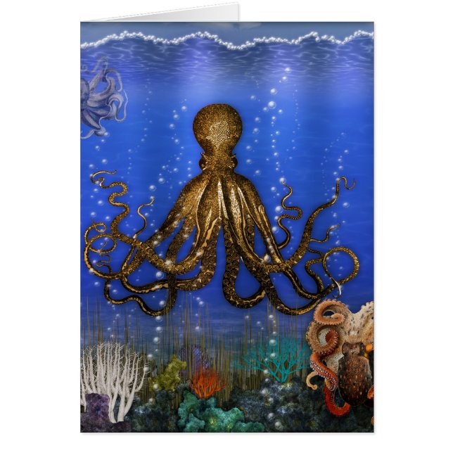 Octopus' Lair - farbenfroh (Vorne)